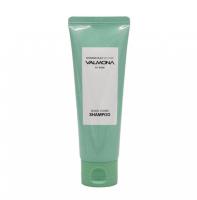 Шампунь для волос АЮРВЕДА Ayurvedic Scalp Solution Black Cumin Shampoo 100мл