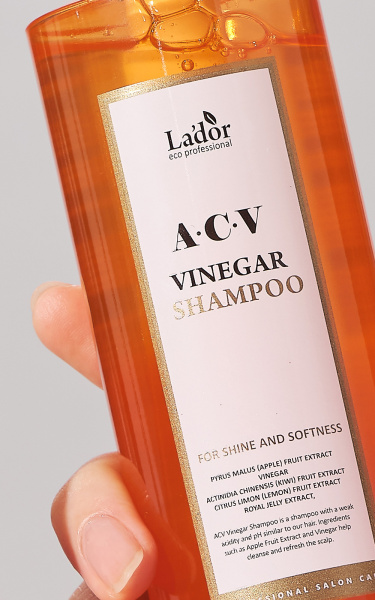 bl4tpy7k9qjl6bwledy35t02324iqkbd