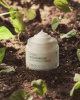 Успокаивающий крем-гель Neogen Real Heartleaf Soothing Cream 80мл