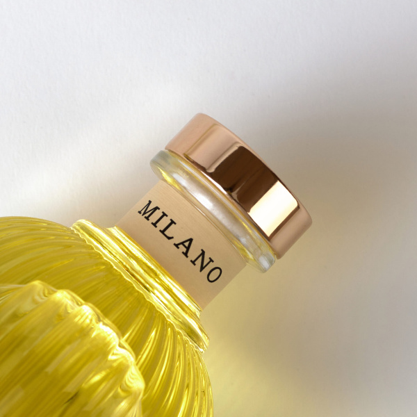 80dv3reirfpb70kzjaim8lk40b1rf6h4